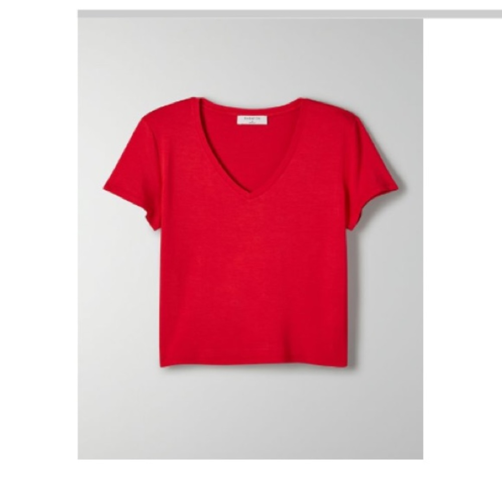 Aritzia Babaton Everyday V Neck Tee